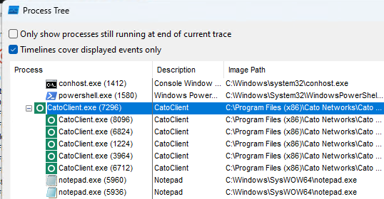 Notepad Shown in Process Tree